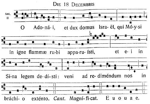 O Adonai